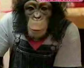 Heartless Bastards Punk a Chimp